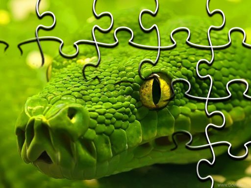 Snakes Jigsaw Puzzle Legends