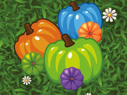  Color Pumpkin Match Quest