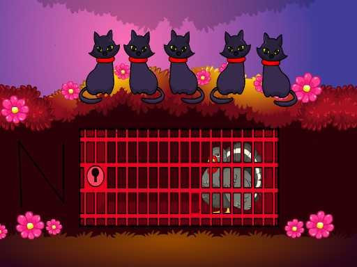 Turkey Rescue Story Escape