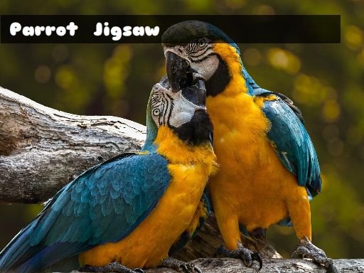 Parrot Jigsaw Legends Run