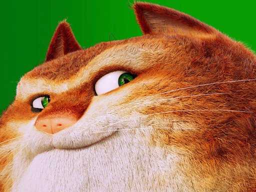  The Amazing Maurice Card Match Land Dash