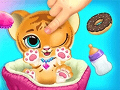 Baby Tiger Care  A Day With Baby Tiger Quest Story