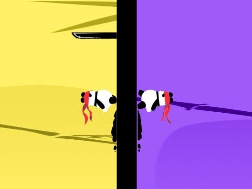 The panda brother Race