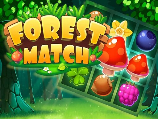  Forest Match Dash