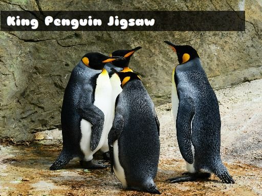  King Penguin Jigsaw Odyssey