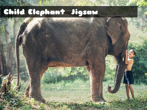 Child Elephant Jigsaw Island Dash