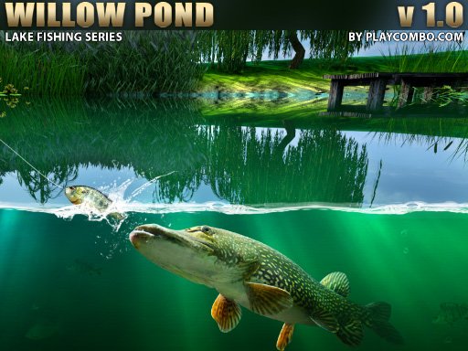 Willow Pond Quest