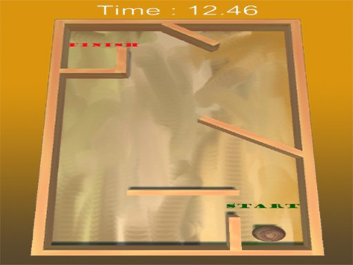Tilt Ball Fun Race