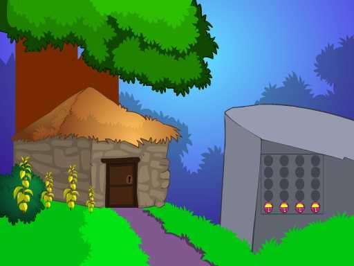  Jay Bird Rescue Story