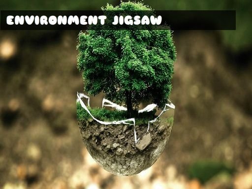 Environment Jigsaw Mode Saga