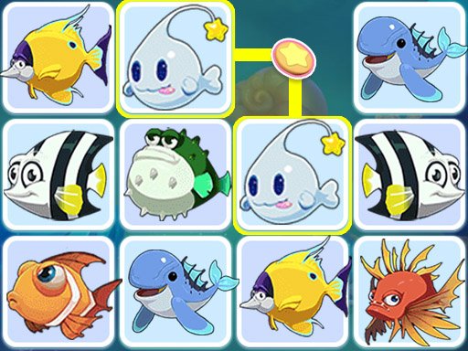 Sea Fish Onet Race