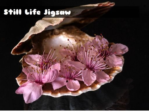  Still Life Jigsaw World