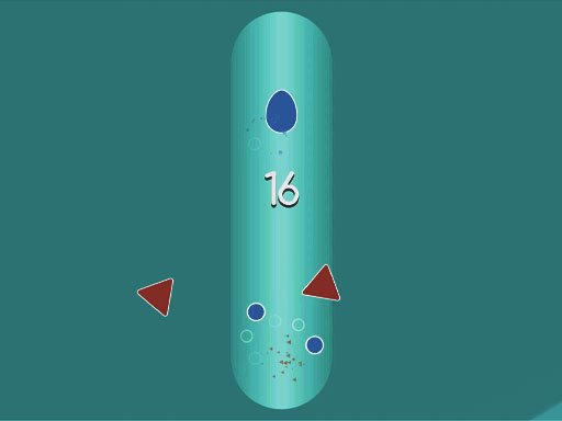 No colision Race Island