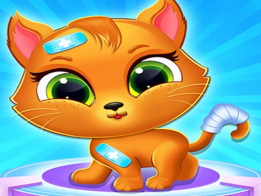 Little Cat Doctor Care Dash