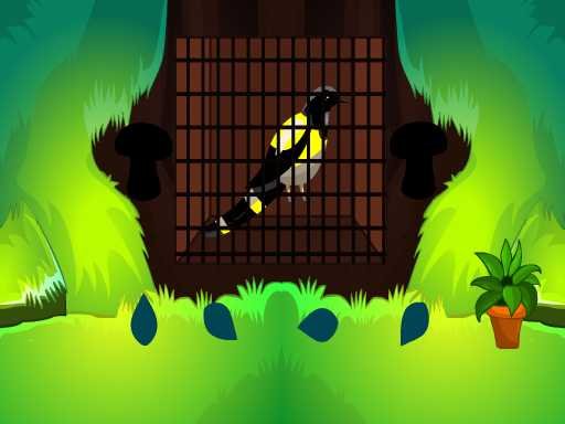 Love Bird Rescue Island World