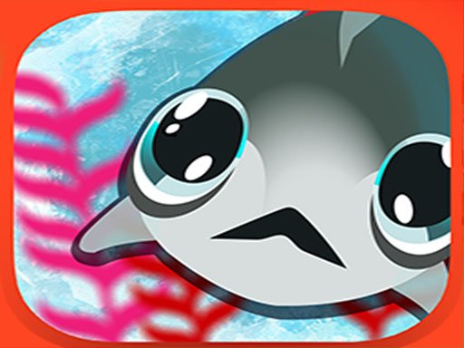  Fish Quest